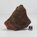  Northwest Africa NWA Meteorite | 184 Grams | Individual Cut Fragment | Sahara 