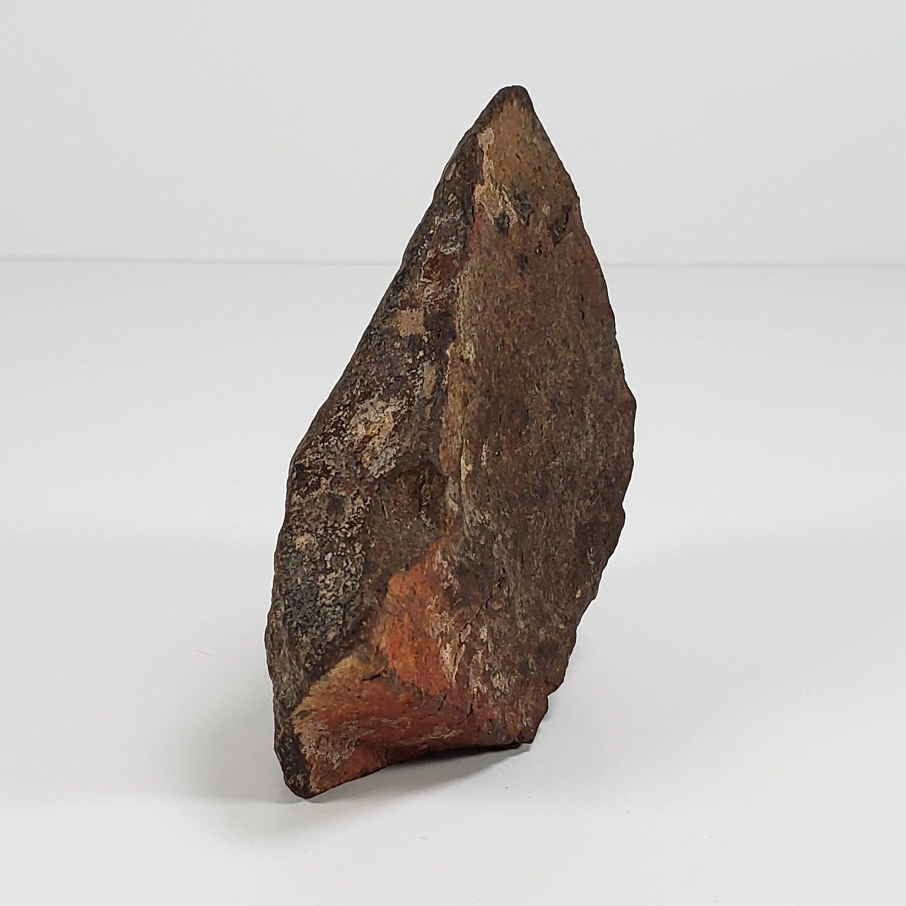  Northwest Africa NWA Meteorite | 184 Grams | Individual Cut Fragment | Sahara 1