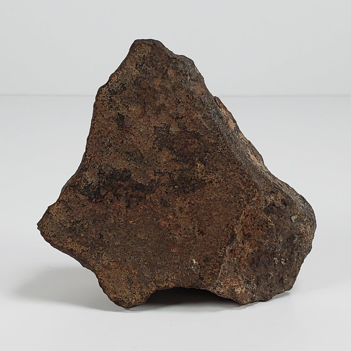  Northwest Africa NWA Meteorite | 184 Grams | Individual Cut Fragment | Sahara 2