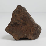 Northwest Africa NWA Meteorite | 184 Grams | Individual Cut Fragment | Sahara 2