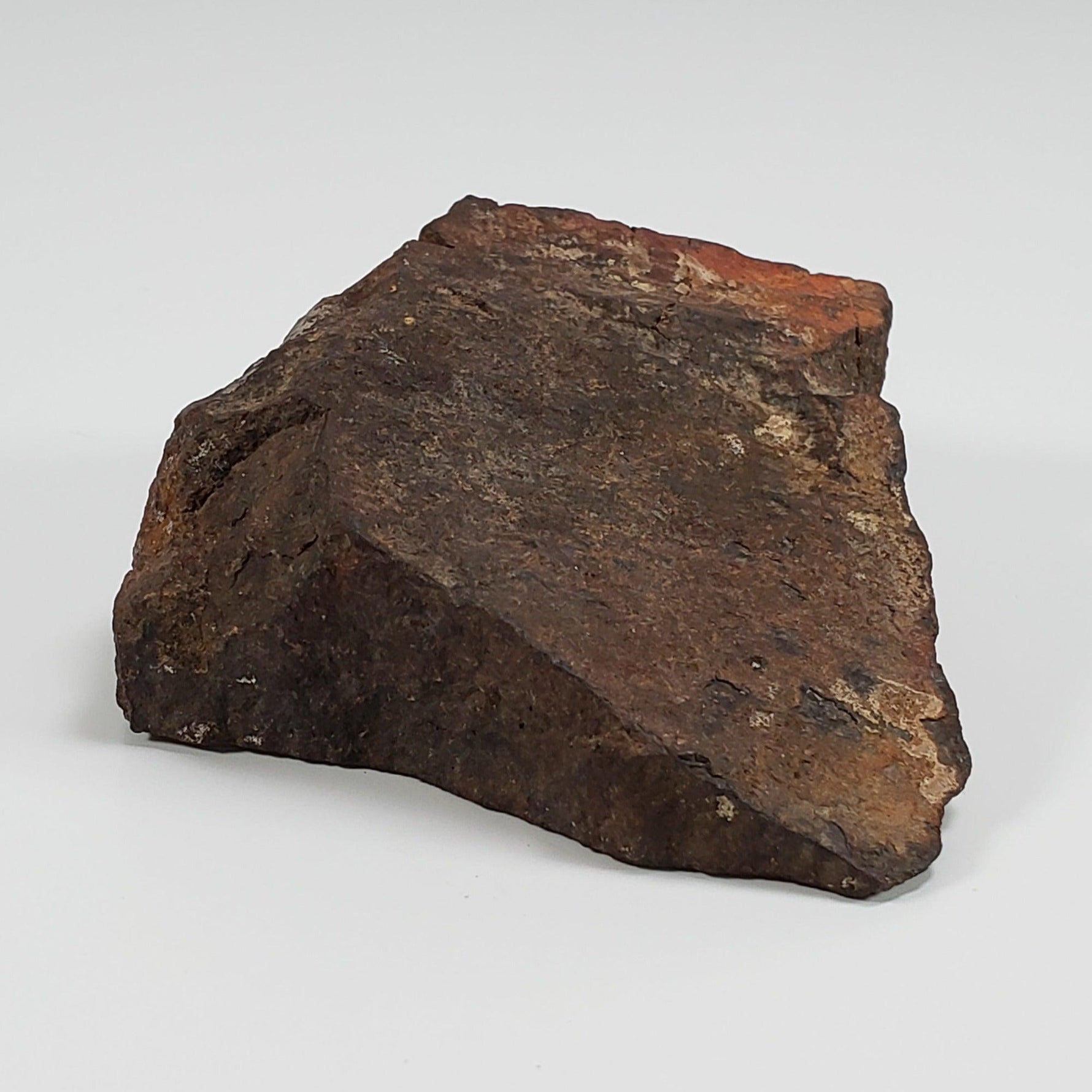  Northwest Africa NWA Meteorite | 184 Grams | Individual Cut Fragment | Sahara 3