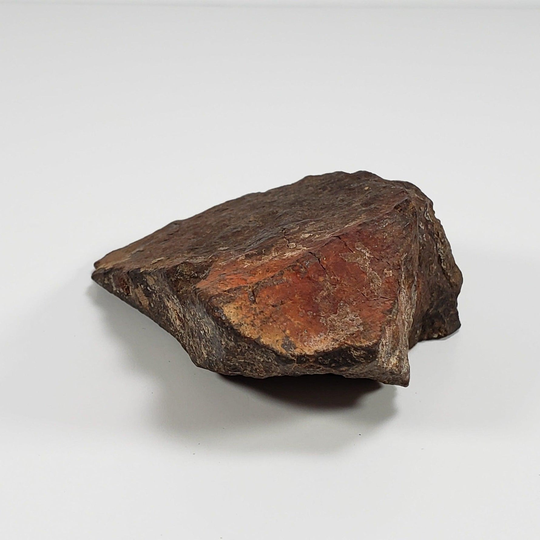  Northwest Africa NWA Meteorite | 184 Grams | Individual Cut Fragment | Sahara 6