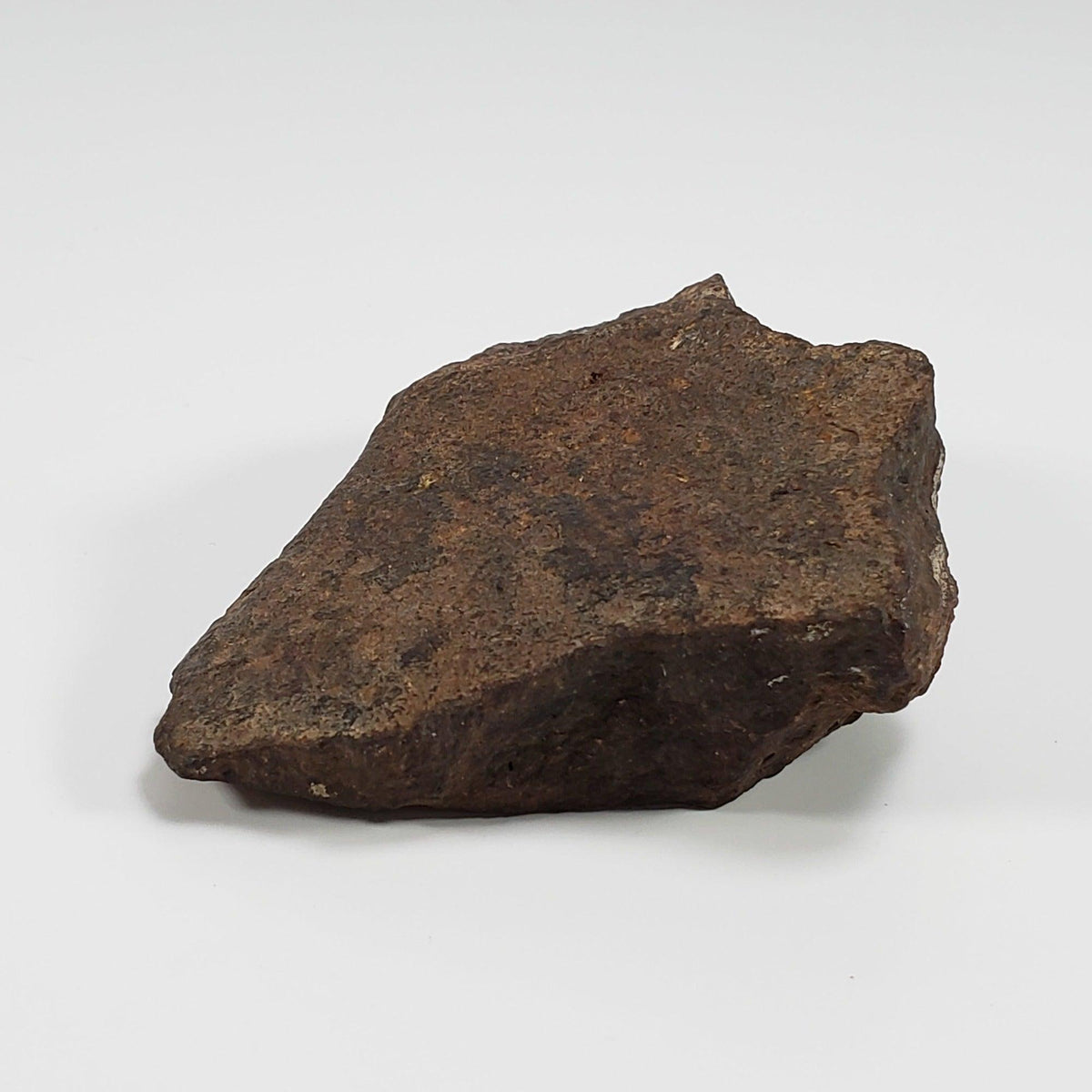  Northwest Africa NWA Meteorite | 184 Grams | Individual Cut Fragment | Sahara 8
