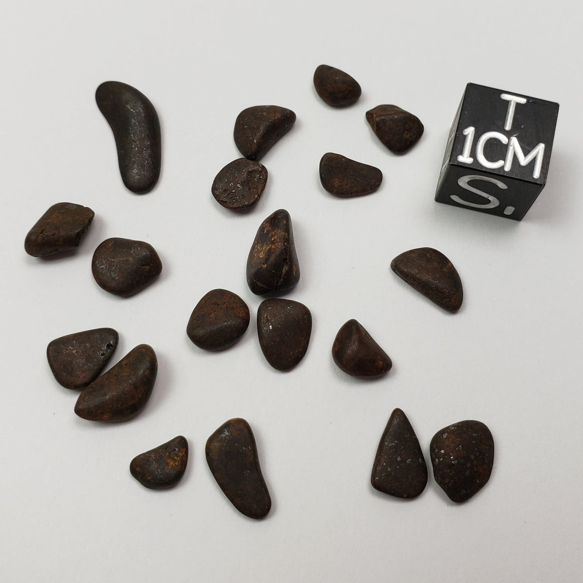  Northwest Africa NWA Meteorite 19 Piece Lot | 4.3 Grams | Tumbled Individual Meteorites | Sahara | SO24 