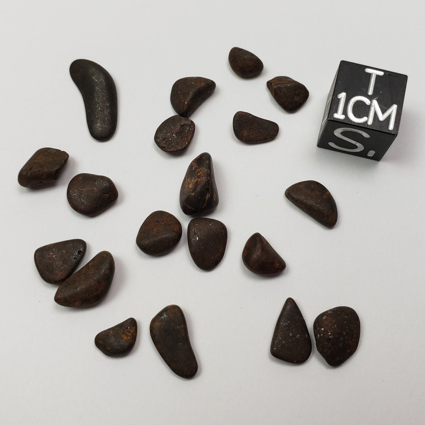  Northwest Africa NWA Meteorite 19 Piece Lot | 4.3 Grams | Tumbled Individual Meteorites | Sahara | SO24 