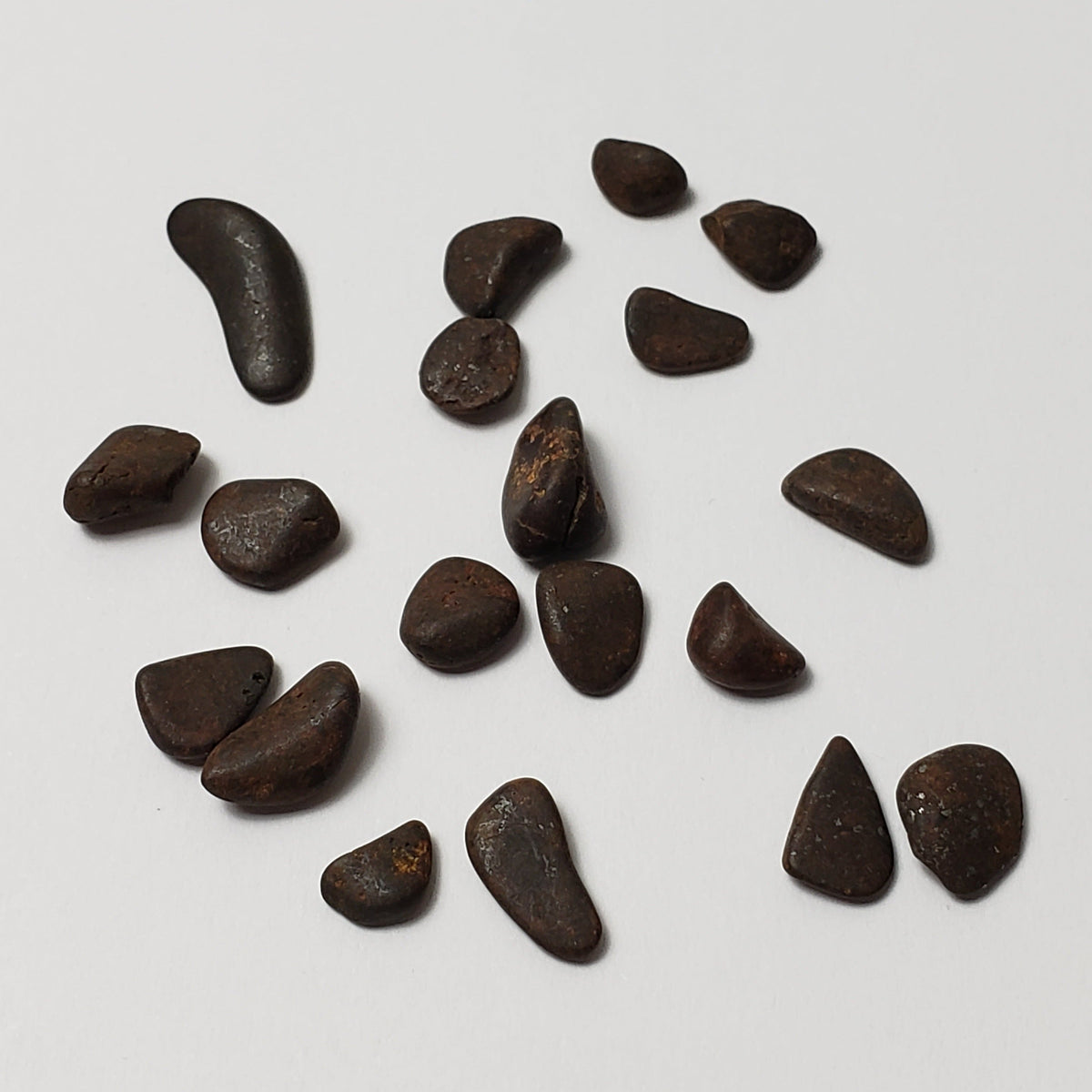  Northwest Africa NWA Meteorite 19 Piece Lot | 4.3 Grams | Tumbled Individual Meteorites | Sahara | SO24 1