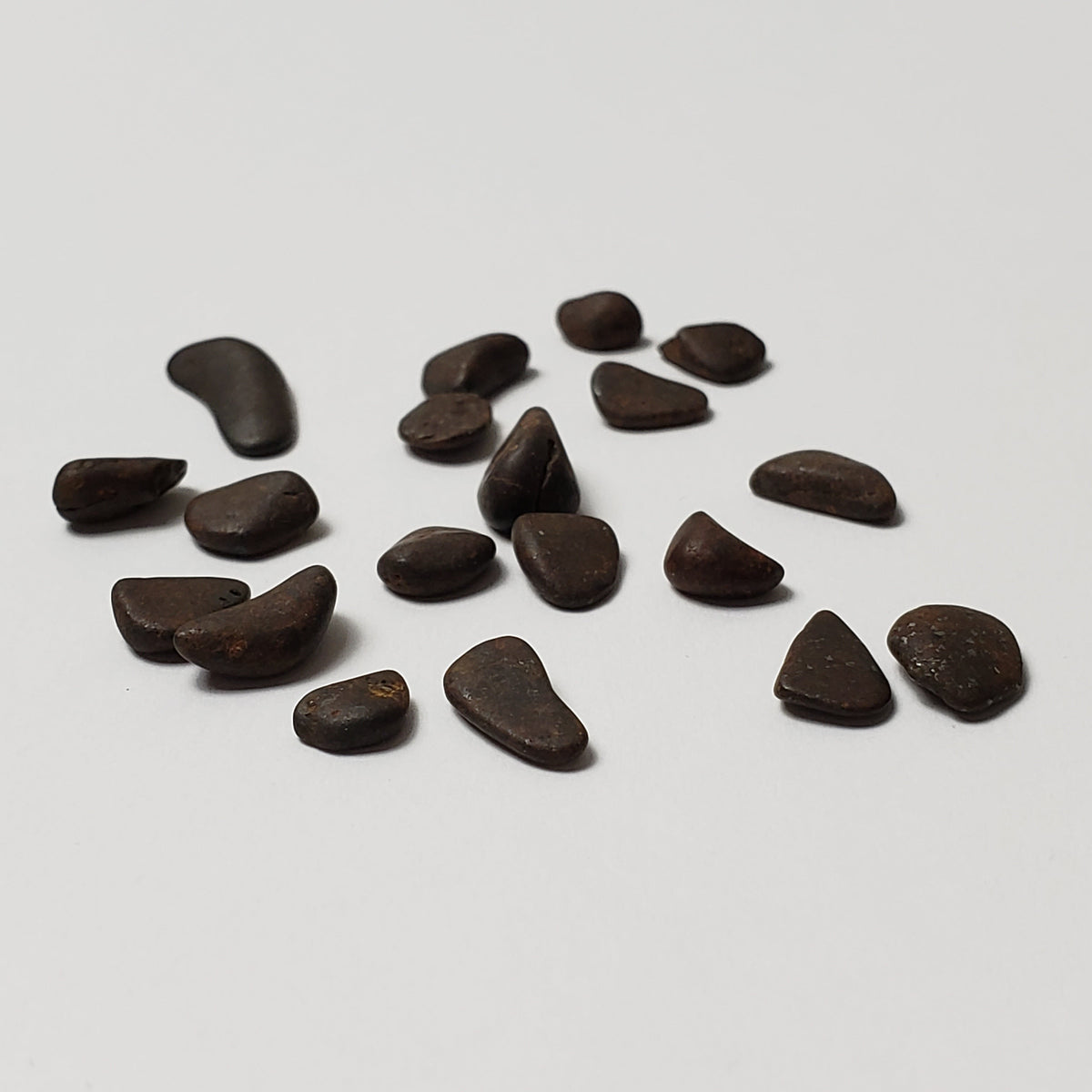  Northwest Africa NWA Meteorite 19 Piece Lot | 4.3 Grams | Tumbled Individual Meteorites | Sahara | SO24 2