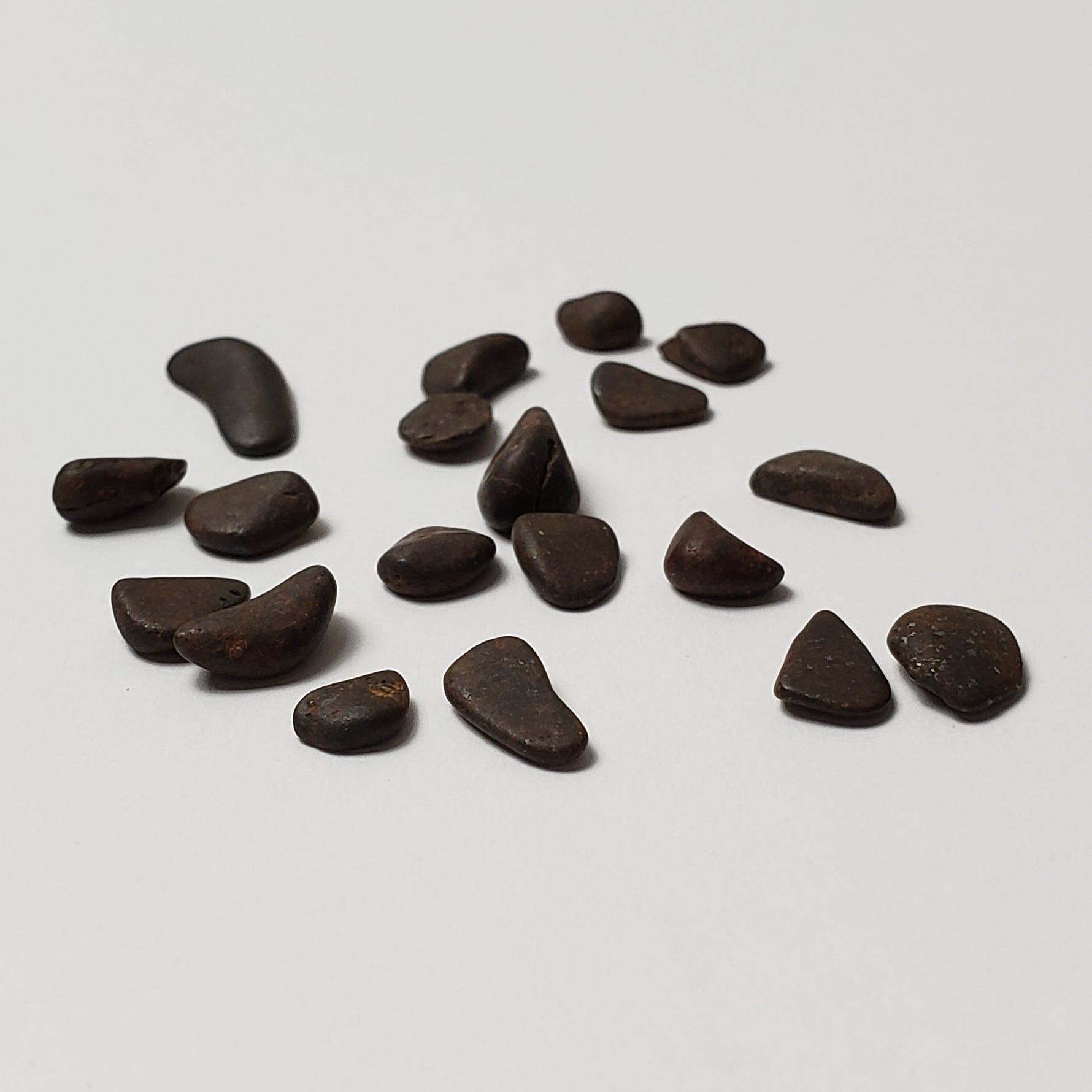  Northwest Africa NWA Meteorite 19 Piece Lot | 4.3 Grams | Tumbled Individual Meteorites | Sahara | SO24 2