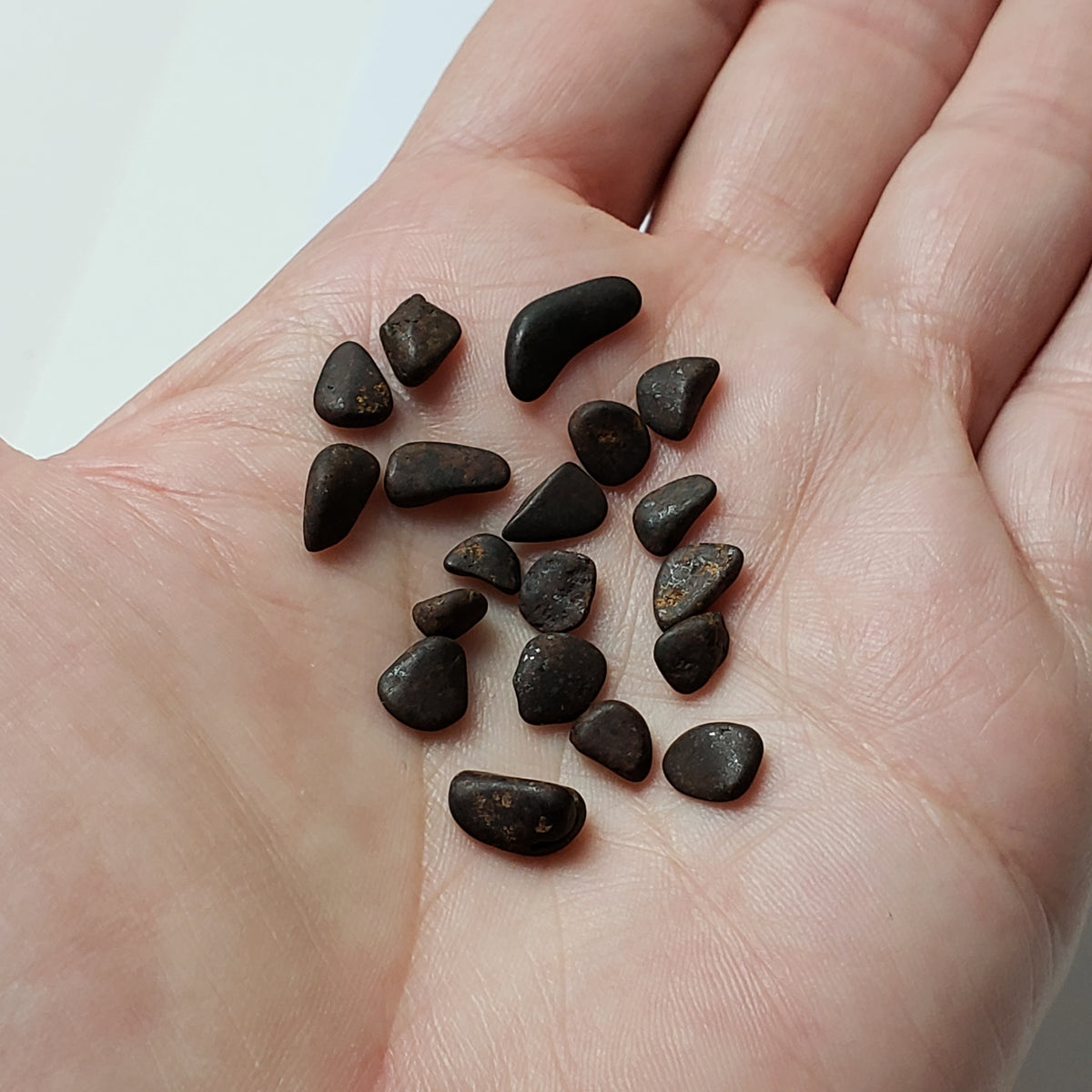  Northwest Africa NWA Meteorite 19 Piece Lot | 4.3 Grams | Tumbled Individual Meteorites | Sahara | SO24 3