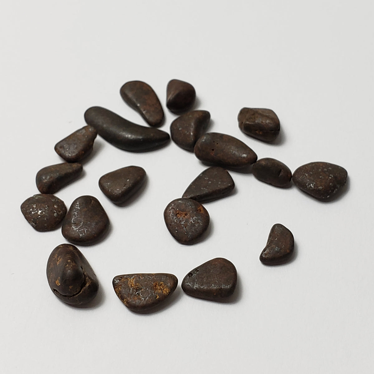  Northwest Africa NWA Meteorite 19 Piece Lot | 4.3 Grams | Tumbled Individual Meteorites | Sahara | SO24 5