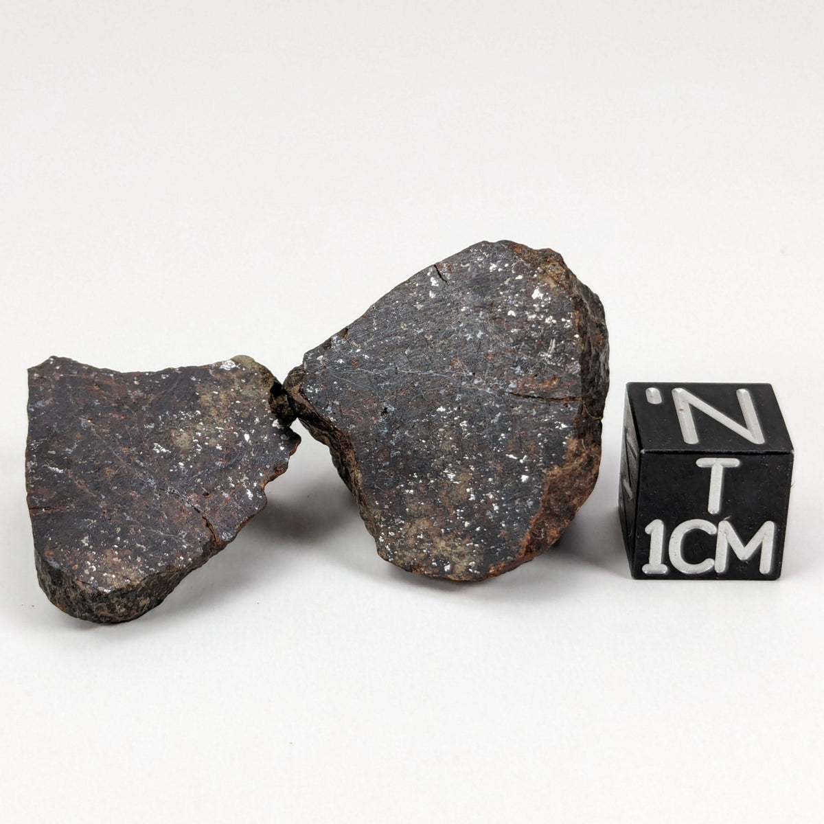  Northwest Africa NWA Meteorite | 20.8 Grams | Two part Cut | Sahara | SO24 