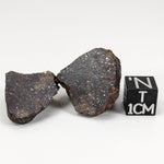  Northwest Africa NWA Meteorite | 20.8 Grams | Two part Cut | Sahara | SO24 