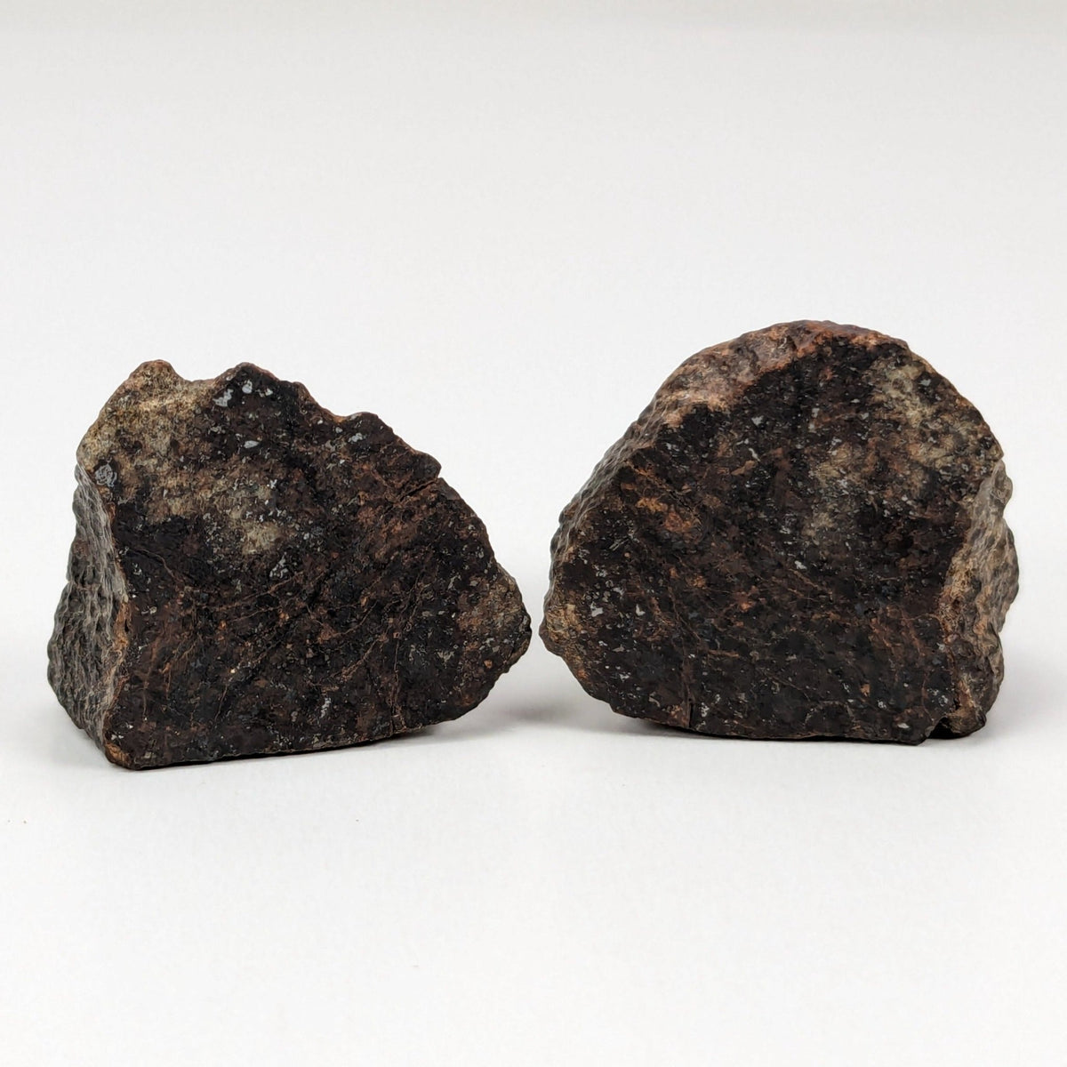  Northwest Africa NWA Meteorite | 20.8 Grams | Two part Cut | Sahara | SO24 2