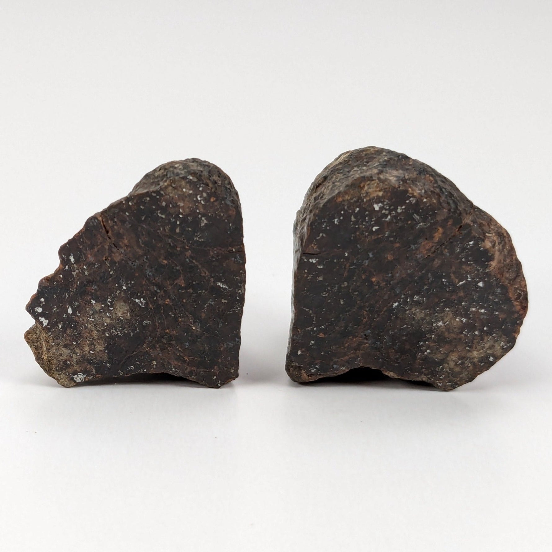  Northwest Africa NWA Meteorite | 20.8 Grams | Two part Cut | Sahara | SO24 3
