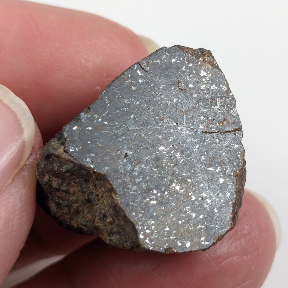  Northwest Africa NWA Meteorite | 20.8 Grams | Two part Cut | Sahara | SO24 5