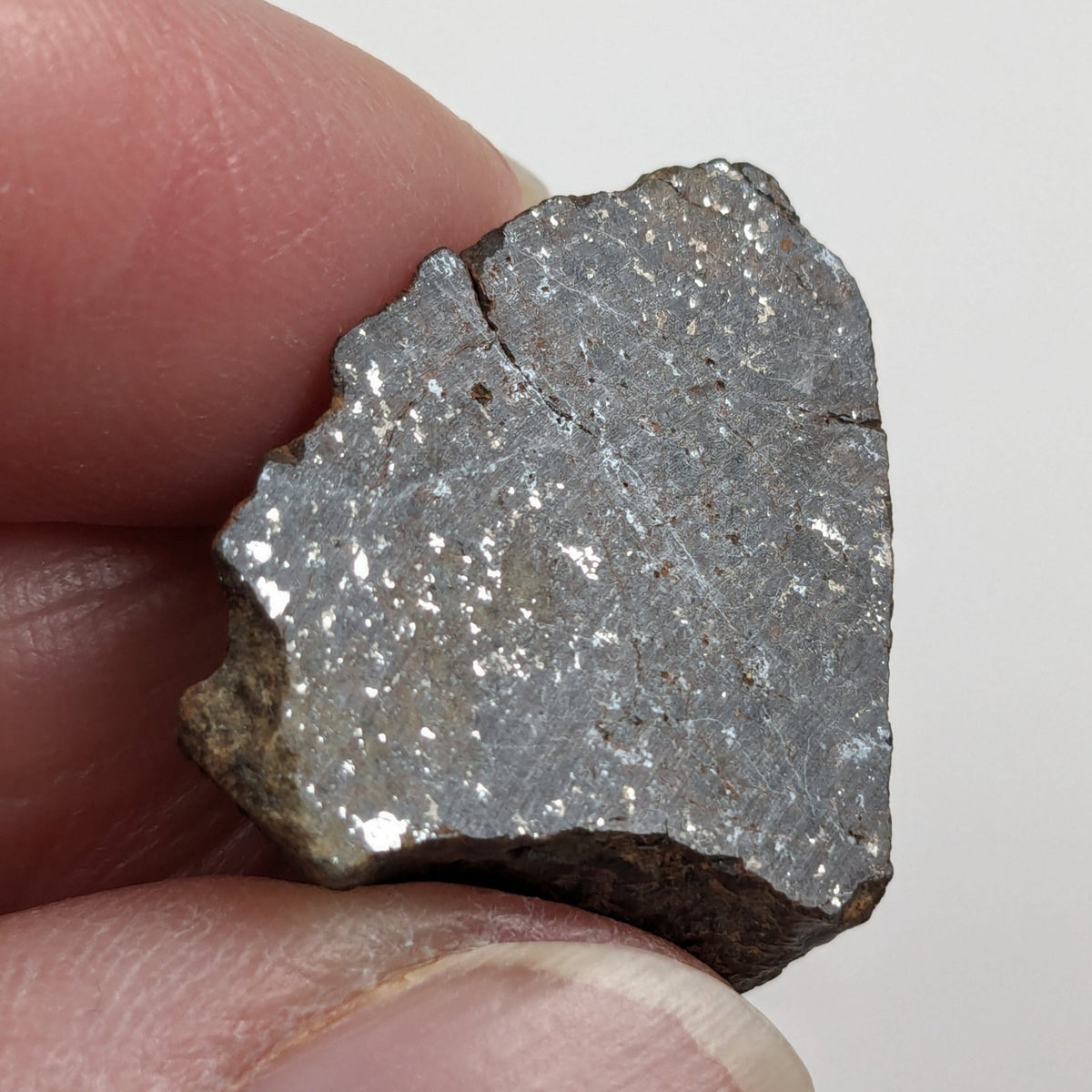  Northwest Africa NWA Meteorite | 20.8 Grams | Two part Cut | Sahara | SO24 6
