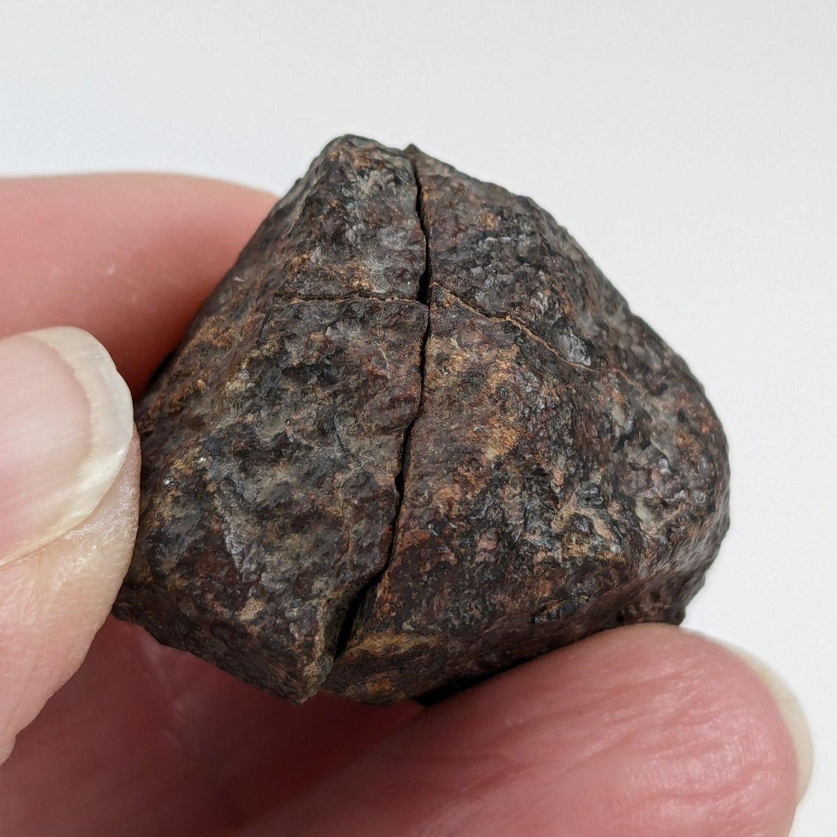  Northwest Africa NWA Meteorite | 20.8 Grams | Two part Cut | Sahara | SO24 7