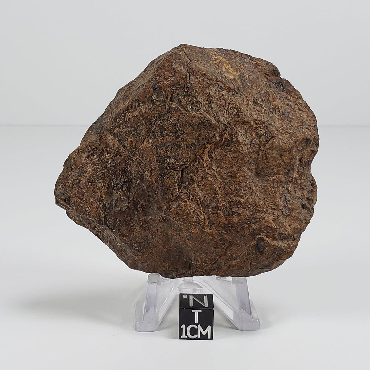  Northwest Africa NWA Meteorite | 212 Grams | Individual Fragment | Sahara 