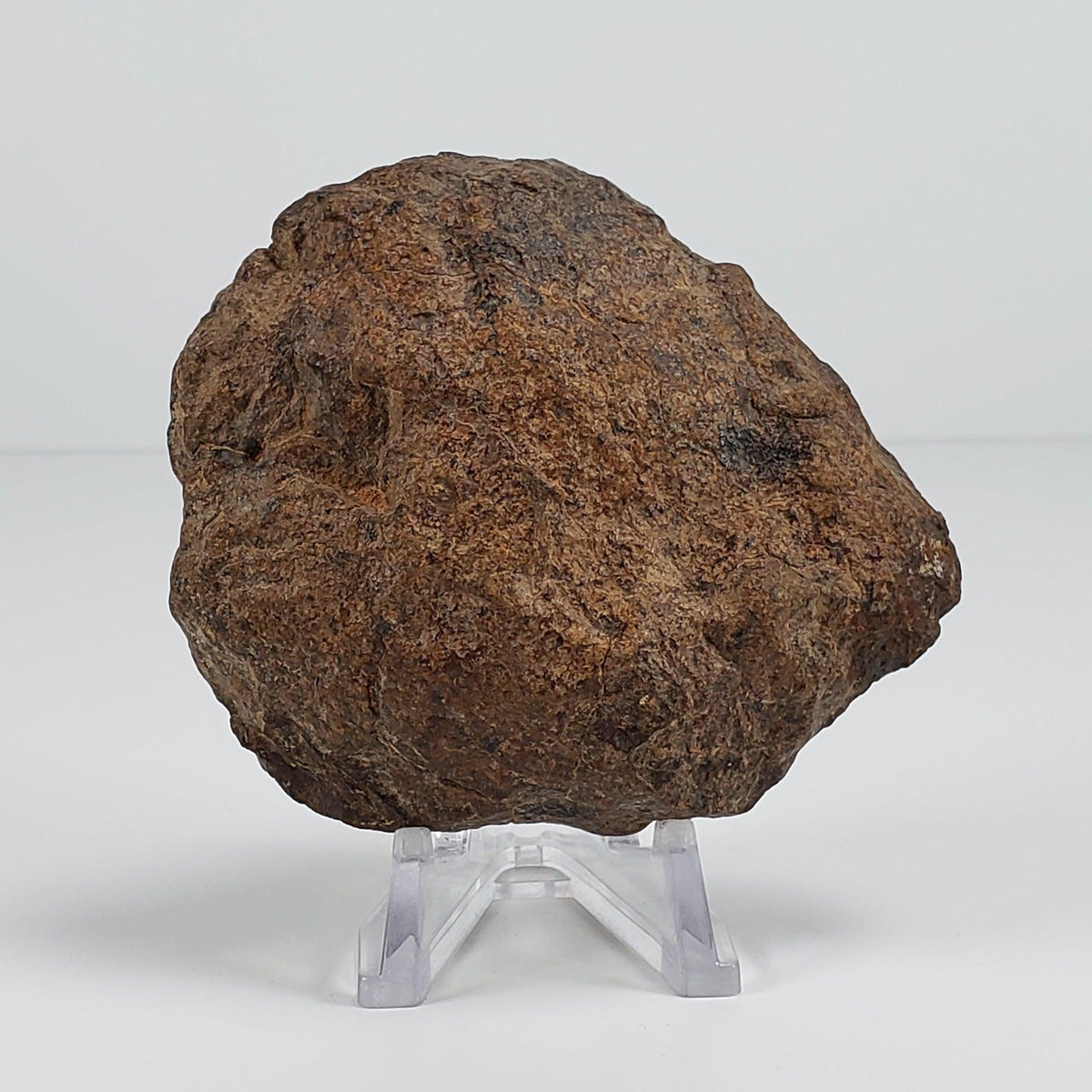  Northwest Africa NWA Meteorite | 212 Grams | Individual Fragment | Sahara 1