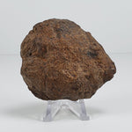  Northwest Africa NWA Meteorite | 212 Grams | Individual Fragment | Sahara 1