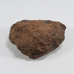  Northwest Africa NWA Meteorite | 212 Grams | Individual Fragment | Sahara 2