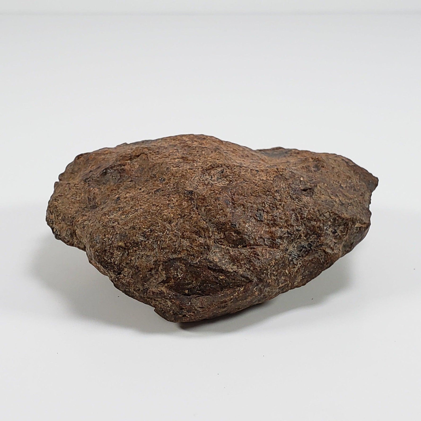  Northwest Africa NWA Meteorite | 212 Grams | Individual Fragment | Sahara 3