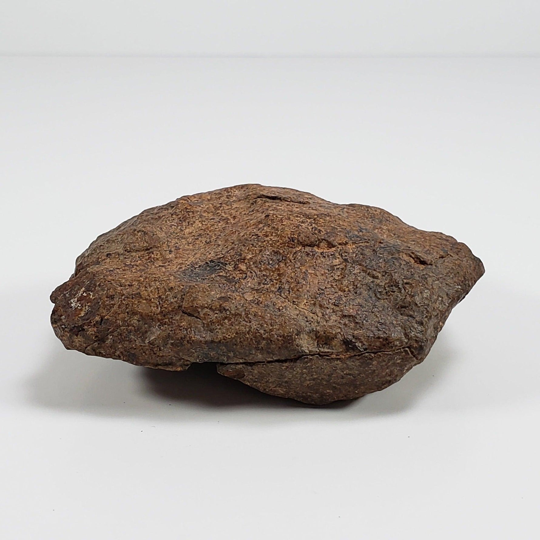  Northwest Africa NWA Meteorite | 212 Grams | Individual Fragment | Sahara 4