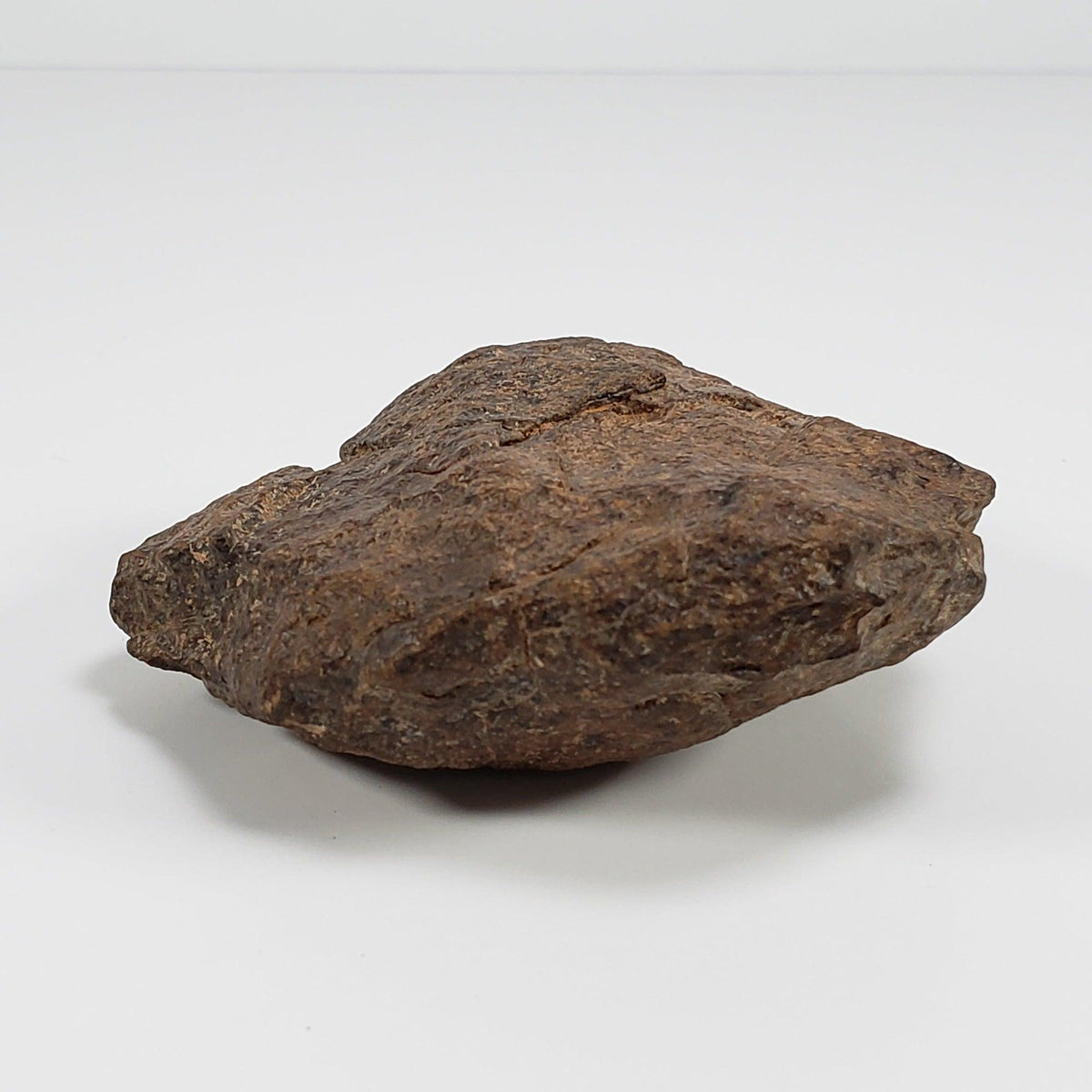  Northwest Africa NWA Meteorite | 212 Grams | Individual Fragment | Sahara 5