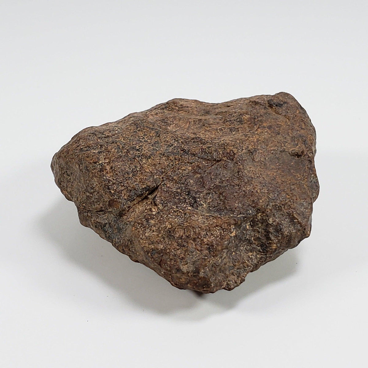  Northwest Africa NWA Meteorite | 212 Grams | Individual Fragment | Sahara 6