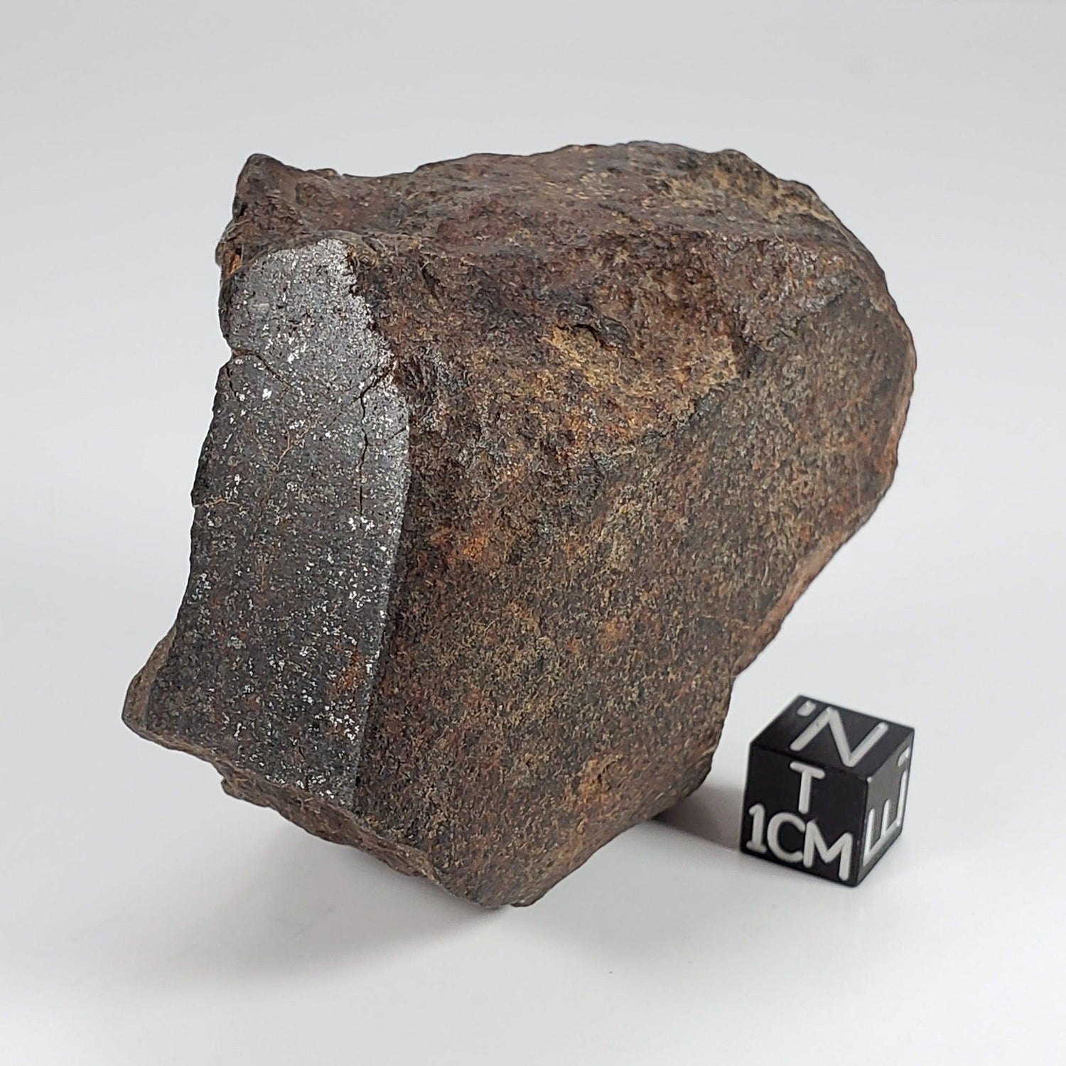  Northwest Africa NWA Meteorite | 224 Grams | End Cut | Sahara 