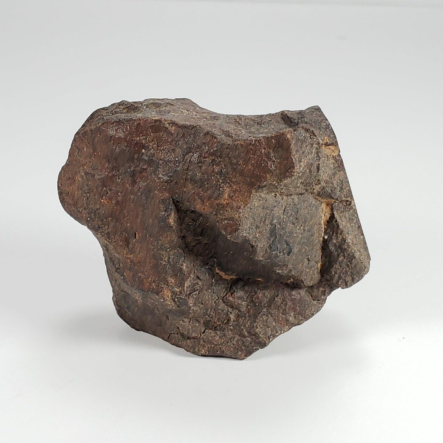  Northwest Africa NWA Meteorite | 224 Grams | End Cut | Sahara 1