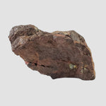  Northwest Africa NWA Meteorite | 295.67 Grams | Individual | Sahara 6