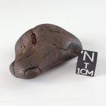  Northwest Africa NWA Meteorite | 32.6 Grams | Individual | Tumbled Meteorite | Sahara 