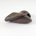  Northwest Africa NWA Meteorite | 32.6 Grams | Individual | Tumbled Meteorite | Sahara 2