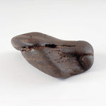  Northwest Africa NWA Meteorite | 32.6 Grams | Individual | Tumbled Meteorite | Sahara 4