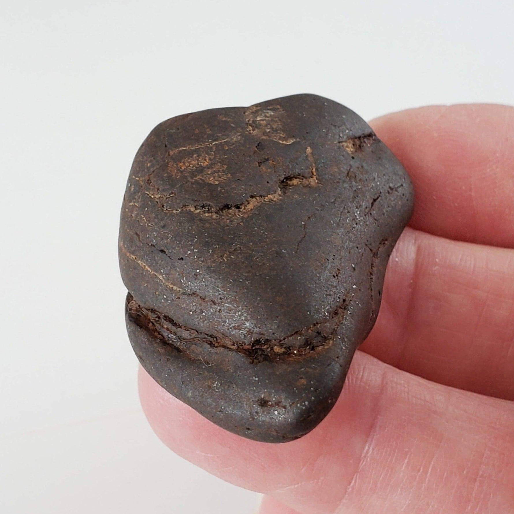  Northwest Africa NWA Meteorite | 32.6 Grams | Individual | Tumbled Meteorite | Sahara 8