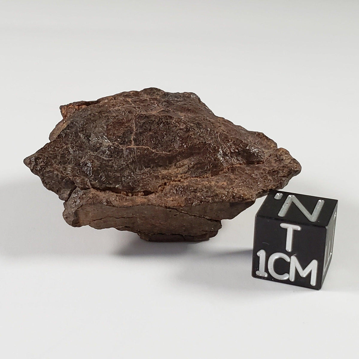 Northwest Africa NWA Meteorite | 33.83 Grams | End Cut | Sahara 