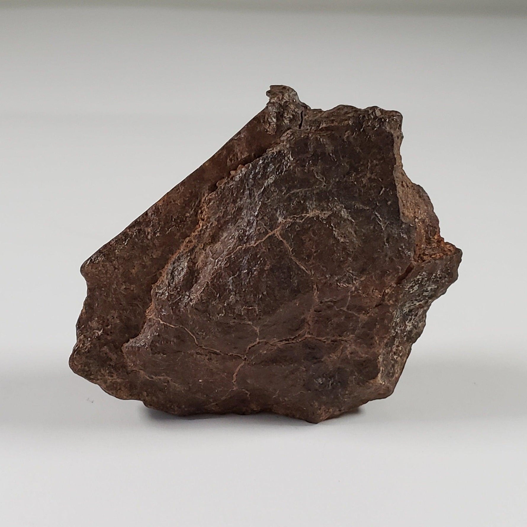  Northwest Africa NWA Meteorite | 33.83 Grams | End Cut | Sahara 3