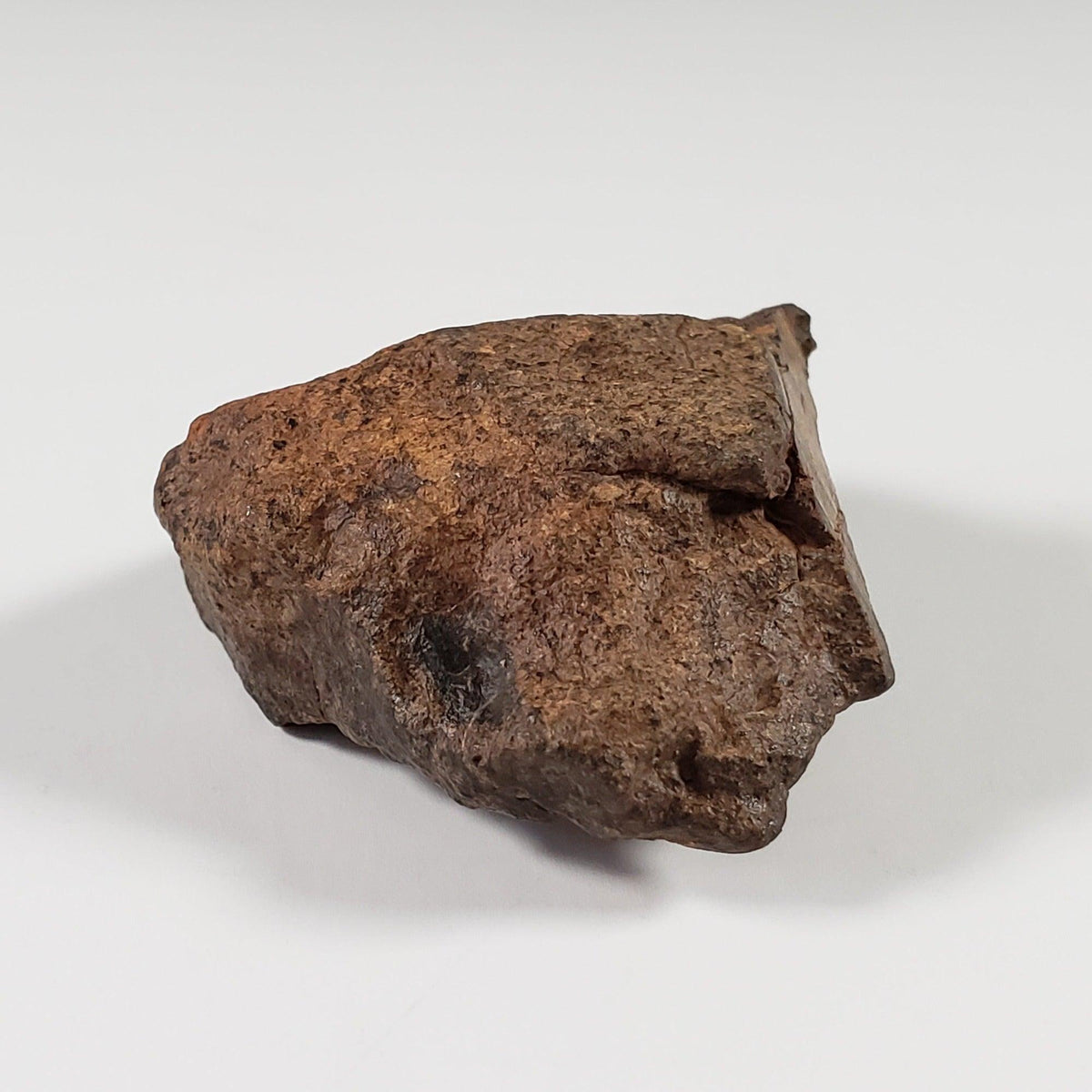  Northwest Africa NWA Meteorite | 33.83 Grams | End Cut | Sahara 4