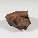  Northwest Africa NWA Meteorite | 33.83 Grams | End Cut | Sahara 4