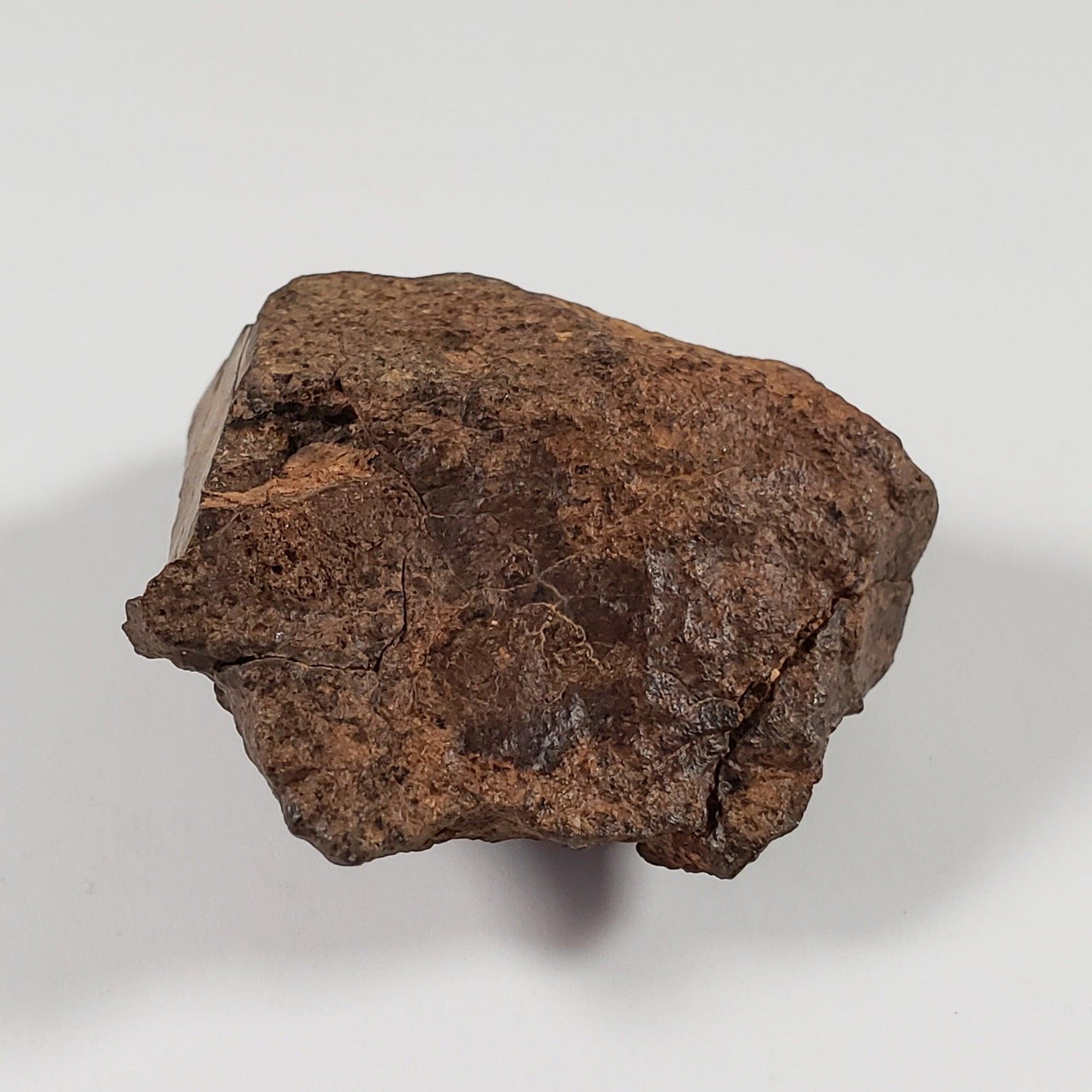  Northwest Africa NWA Meteorite | 33.83 Grams | End Cut | Sahara 5
