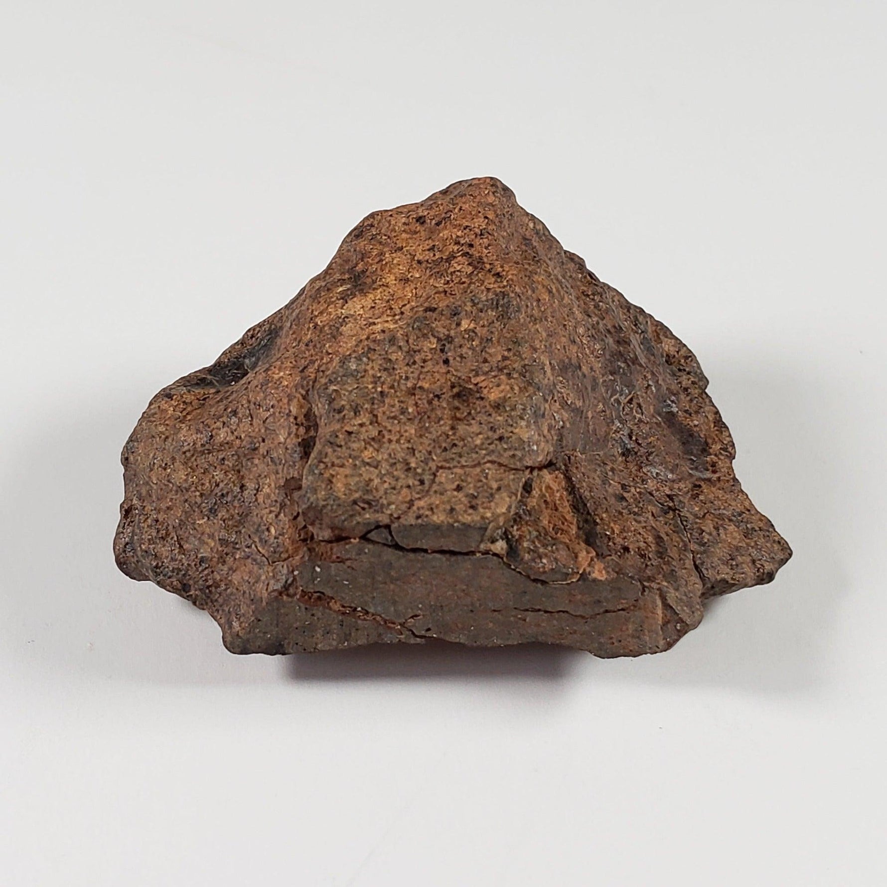  Northwest Africa NWA Meteorite | 33.83 Grams | End Cut | Sahara 6