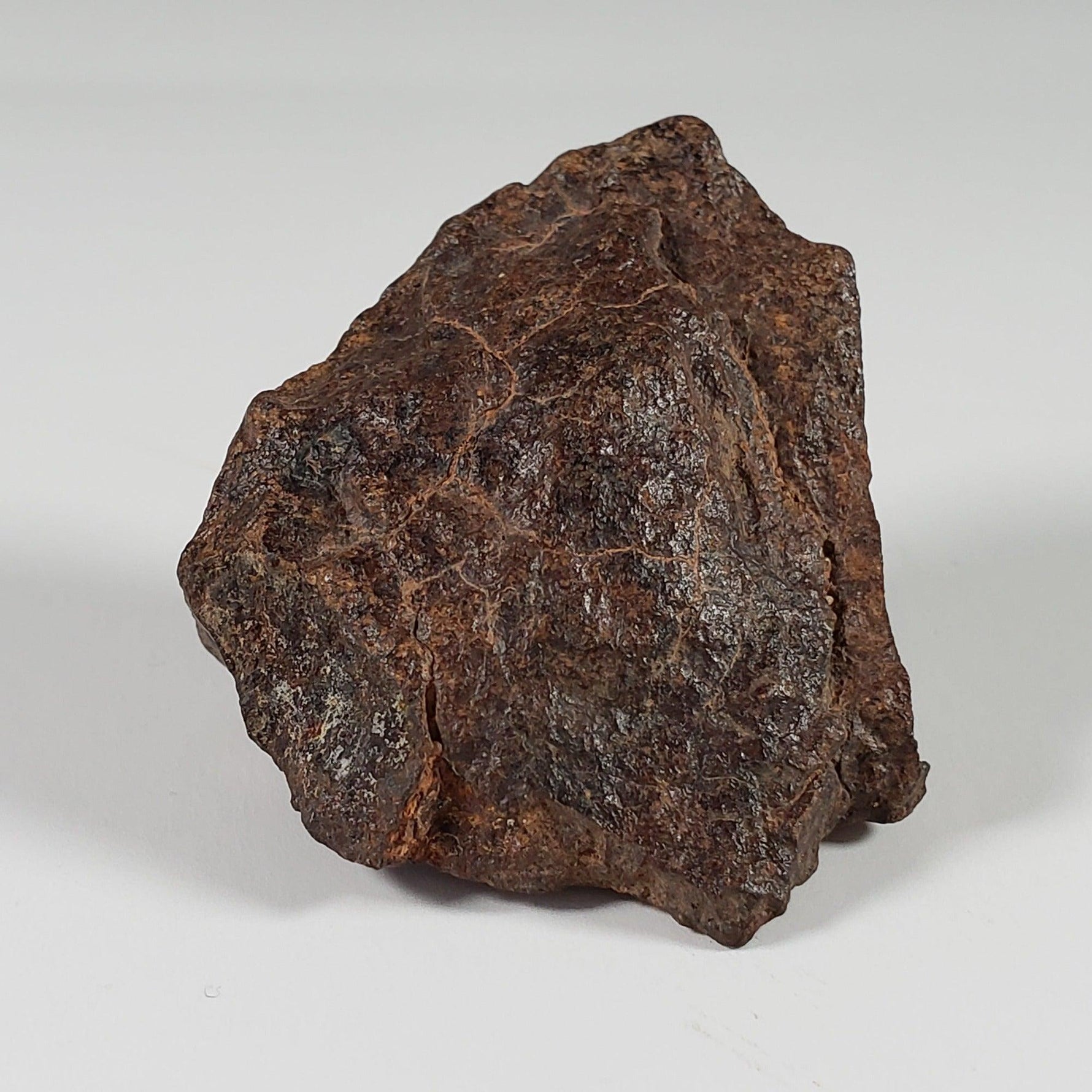  Northwest Africa NWA Meteorite | 33.83 Grams | End Cut | Sahara 7