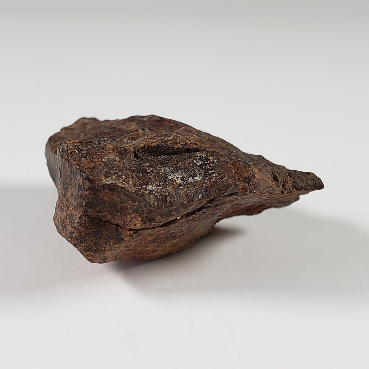  Northwest Africa NWA Meteorite | 33.83 Grams | End Cut | Sahara 8