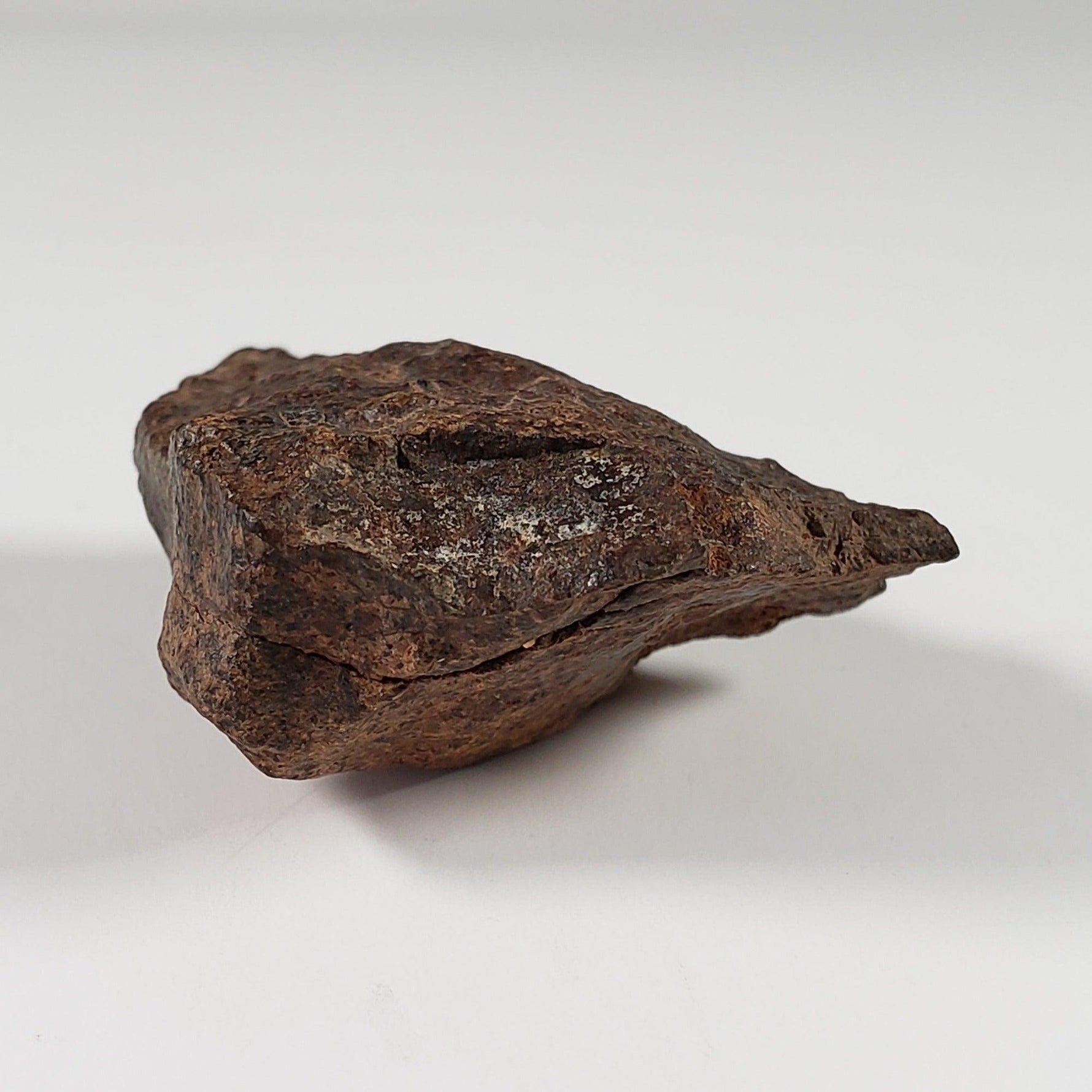  Northwest Africa NWA Meteorite | 33.83 Grams | End Cut | Sahara 8