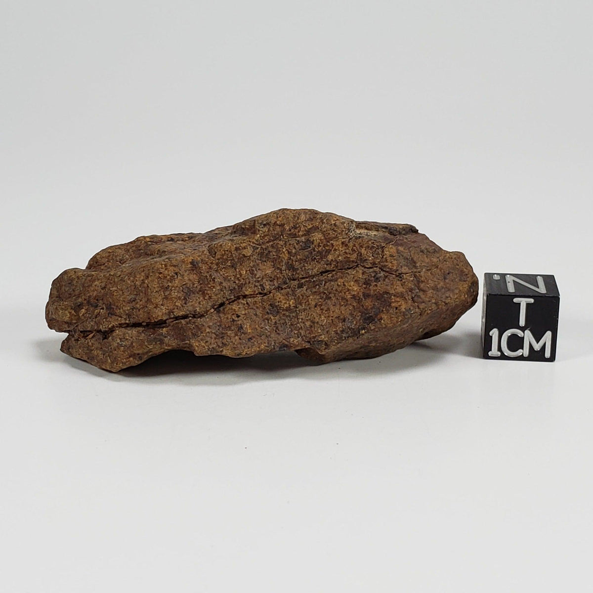  Northwest Africa NWA Meteorite | 41.6 Grams | Individual Fragment | Sahara 