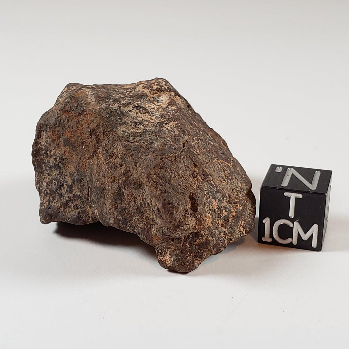  Northwest Africa NWA Meteorite | 46.03 Grams | Individual Fragment | Sahara 