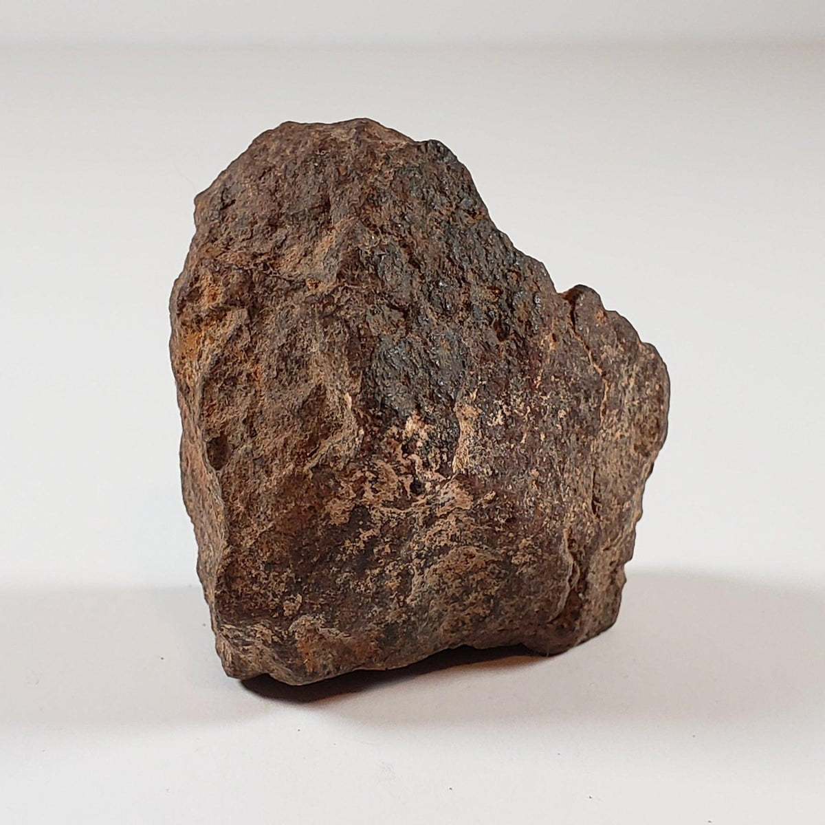  Northwest Africa NWA Meteorite | 46.03 Grams | Individual Fragment | Sahara 1