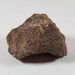  Northwest Africa NWA Meteorite | 46.03 Grams | Individual Fragment | Sahara 2