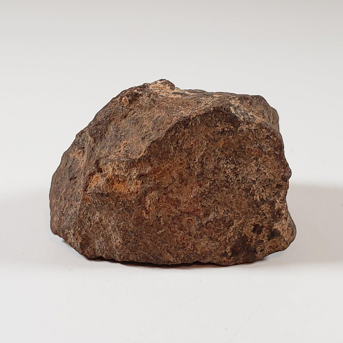  Northwest Africa NWA Meteorite | 46.03 Grams | Individual Fragment | Sahara 4